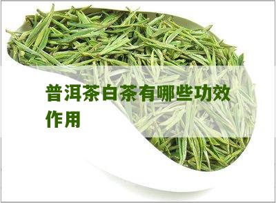 普洱茶白茶有哪些功效作用