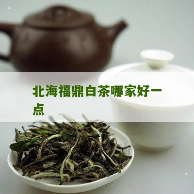 北海福鼎白茶哪家好一点