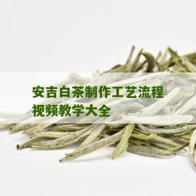 安吉白茶制作工艺流程视频教学大全