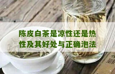 陈皮白茶是凉性还是热性及其好处与正确泡法