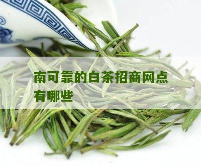 南可靠的白茶招商网点有哪些