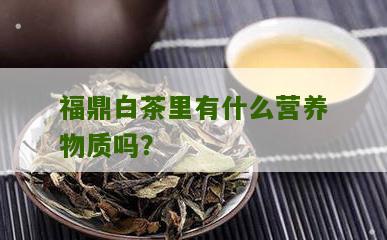 福鼎白茶里有什么营养物质吗？