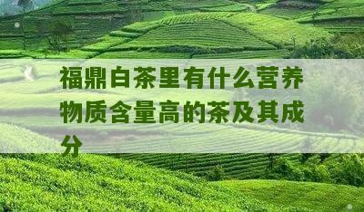 福鼎白茶里有什么营养物质含量高的茶及其成分