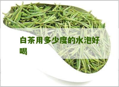 白茶用多少度的水泡好喝