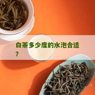 白茶多少度的水泡合适？