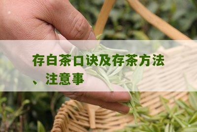 存白茶口诀及存茶方法、注意事