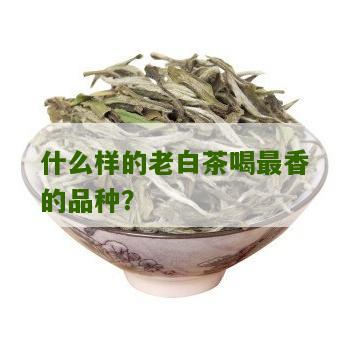 什么样的老白茶喝最香的品种？