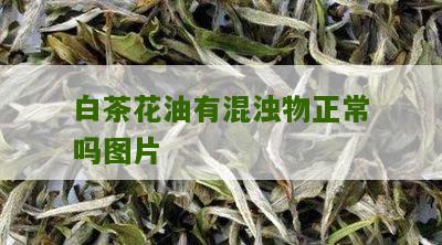 白茶花油有混浊物正常吗图片