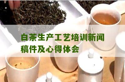 白茶生产工艺培训新闻稿件及心得体会