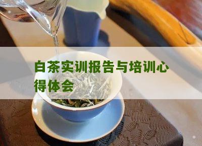 白茶实训报告与培训心得体会