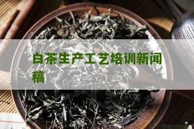 白茶生产工艺培训新闻稿