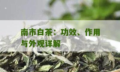 南市白茶：功效、作用与外观详解