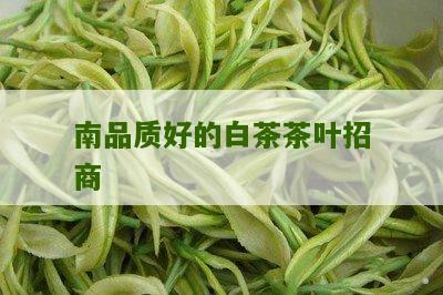 南品质好的白茶茶叶招商