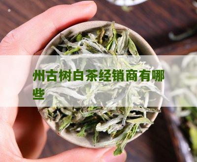 州古树白茶经销商有哪些