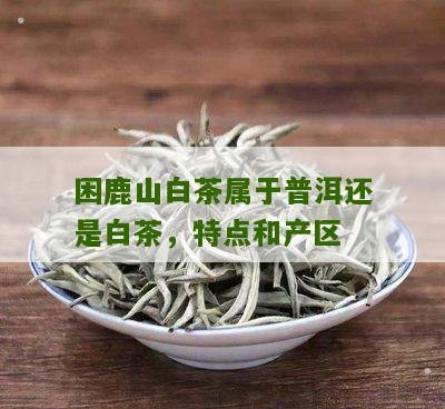 困鹿山白茶属于普洱还是白茶，特点和产区