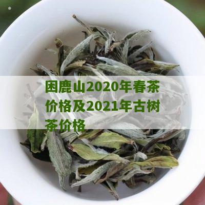 困鹿山2020年春茶价格及2021年古树茶价格