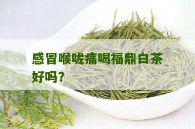 感冒喉咙痛喝福鼎白茶好吗？