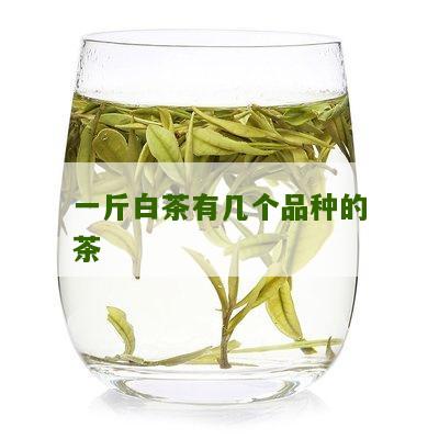 一斤白茶有几个品种的茶