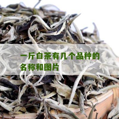 一斤白茶有几个品种的名称和图片