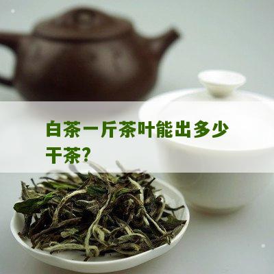 白茶一斤茶叶能出多少干茶?