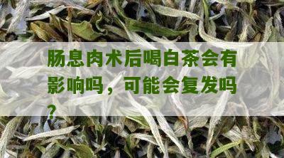 肠息肉术后喝白茶会有影响吗，可能会复发吗？