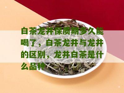 白茶龙井保质期多久能喝了，白茶龙井与龙井的区别，龙井白茶是什么品种