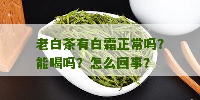 老白茶有白霜正常吗？能喝吗？怎么回事？