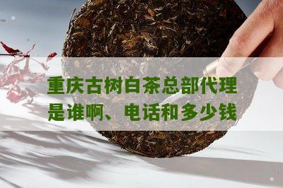 重庆古树白茶总部代理是谁啊、电话和多少钱