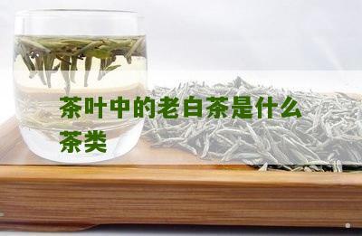 茶叶中的老白茶是什么茶类