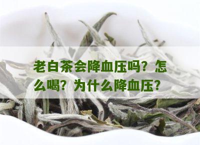 老白茶会降血压吗？怎么喝？为什么降血压？