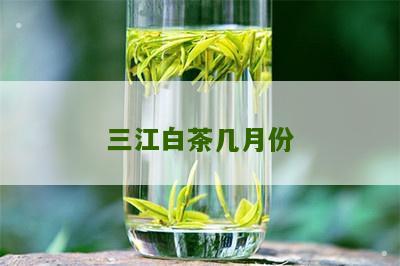 三江白茶几月份