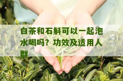 白茶和石斛可以一起泡水喝吗？功效及适用人群