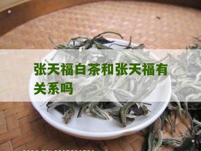 张天福白茶和张天福有关系吗