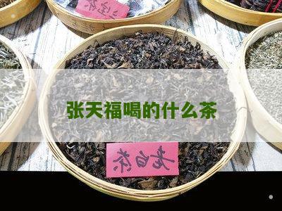 张天福喝的什么茶