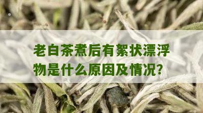 老白茶煮后有絮状漂浮物是什么原因及情况？