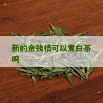 新的金钱桔可以煮白茶吗