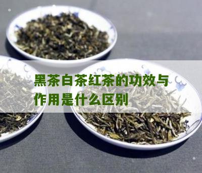 黑茶白茶红茶的功效与作用是什么区别