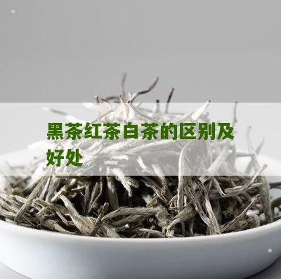 黑茶红茶白茶的区别及好处