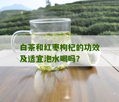 白茶和红枣枸杞的功效及适宜泡水喝吗？