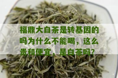 福鼎大白茶是转基因的吗为什么不能喝，这么贵和便宜，是白茶吗？