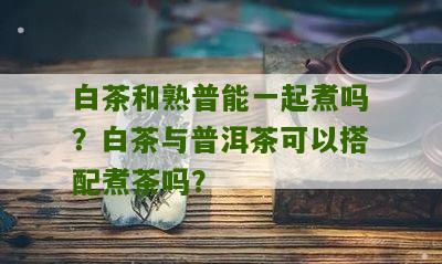 白茶和熟普能一起煮吗？白茶与普洱茶可以搭配煮茶吗？