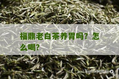 福鼎老白茶养胃吗？怎么喝？