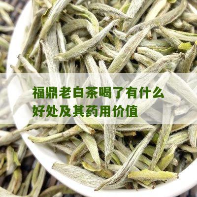 福鼎老白茶喝了有什么好处及其药用价值