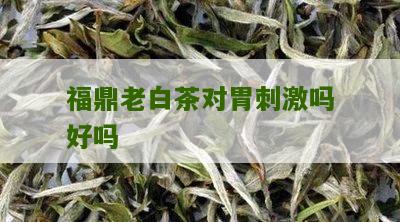 福鼎老白茶对胃刺激吗好吗