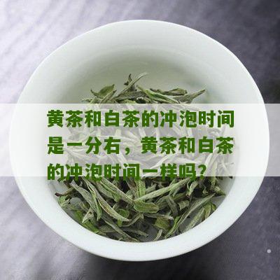 黄茶和白茶的冲泡时间是一分右，黄茶和白茶的冲泡时间一样吗？