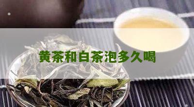 黄茶和白茶泡多久喝