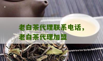 老白茶代理联系电话，老白茶代理加盟