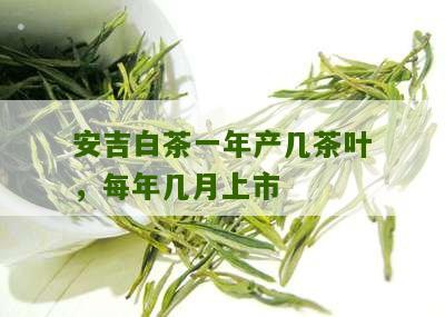 安吉白茶一年产几茶叶，每年几月上市