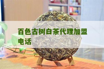 百色古树白茶代理加盟电话