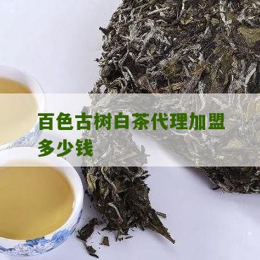 百色古树白茶代理加盟多少钱